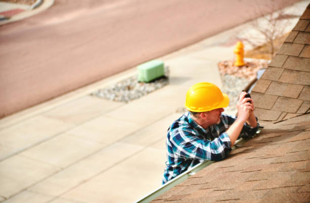 Best Roof Gutter Cleaning  in Lumberton, MS